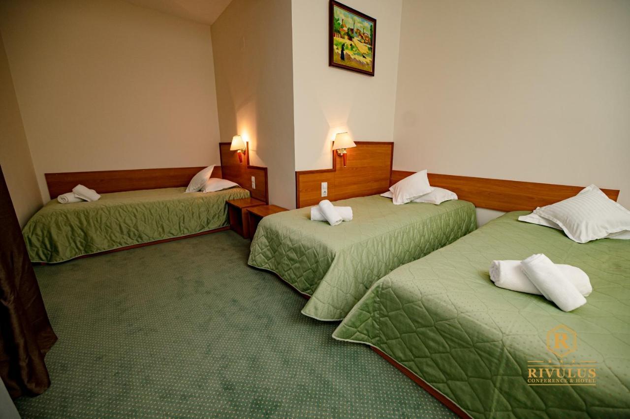 Hotel Rivulus Baia Mare Extérieur photo