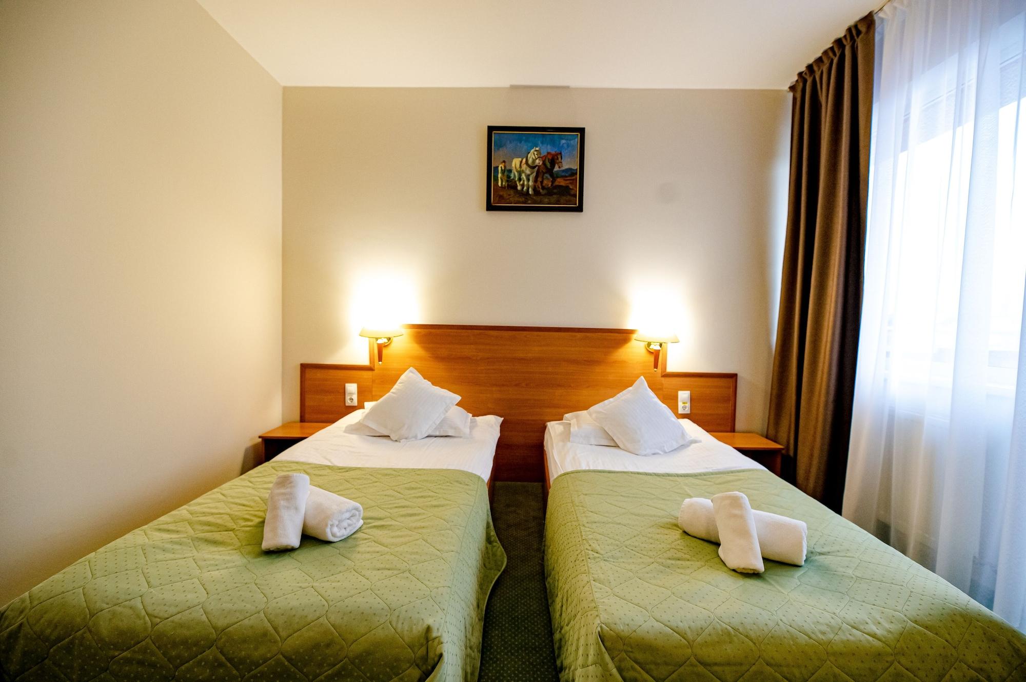 Hotel Rivulus Baia Mare Extérieur photo