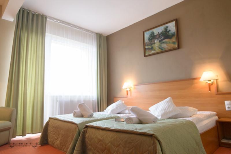 Hotel Rivulus Baia Mare Extérieur photo